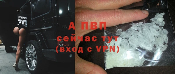 крисы Богородицк