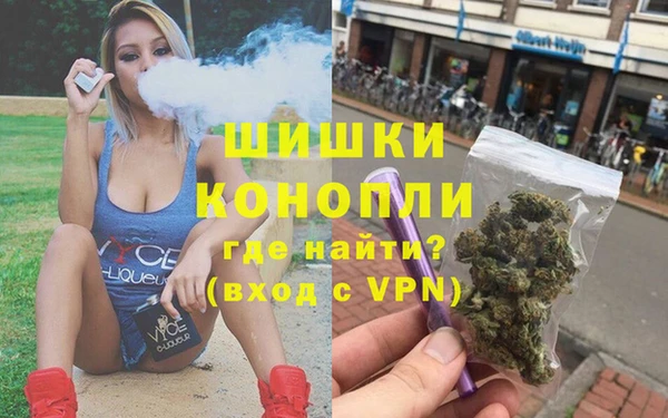 крисы Богородицк