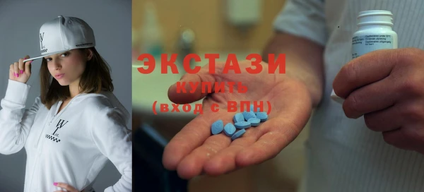 крисы Богородицк