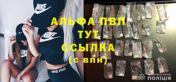 герыч Бородино