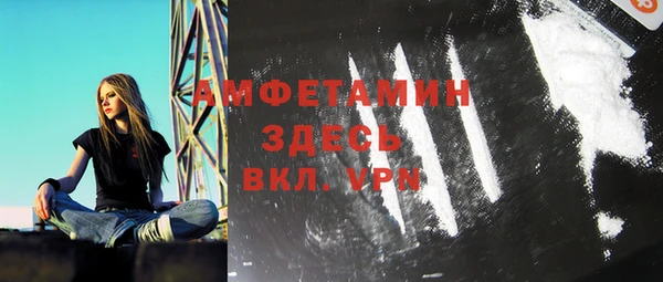 крисы Богородицк