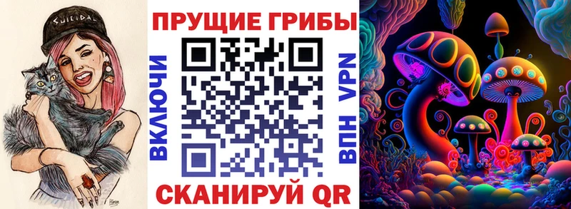 блэк спрут вход Ковылкино Галлюциногенные грибы ЛСД